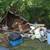 Junk removal & property restoration & clean up services 13 thumbnail