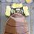 Ceramic tile inserts for stepping stones or whatever... 5 thumbnail