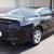 2014 Ford Mustang  V6 Coupe 5 thumbnail