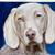 Private Painting & Drawing Lessons with a Classically Trained Painter 13 thumbnail
