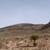 Mountain View Land – 20 Acres Near El Paso 6 thumbnail