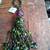 Beaded Tassels+ ornaments 5 thumbnail