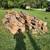 Cedar fresh cut wood for sale 6 thumbnail