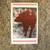 "The Wrong End of the Sow", Paperback (Gwen Petersen) 2 thumbnail