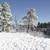 BEAUTIFUL LAKEFRONT CABIN ON RAINBOW LAKE WITH BOATS, KAYAKS + A CANOE 21 thumbnail