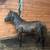 Stud pony 14 thumbnail