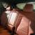 2023 Kia Sportage SX 13 thumbnail