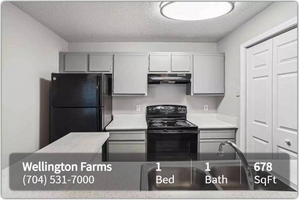 $995 / 1br - 678ft2 - For an easy commute by bus, come home to Wellington Farms (Charlotte)63925334208386122