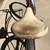 Schwinn not a Penny Less ya I got it 5 thumbnail