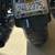 Harley Davidson Electra Glide Standard 4 thumbnail