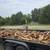 Firewood BBQ Stacked  Delivered OR Wood Yard MANCHACA SALE!! 3 thumbnail
