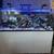 Redsea reefer 750 XXL G2 White (Aquarium, fish tank) 2 thumbnail