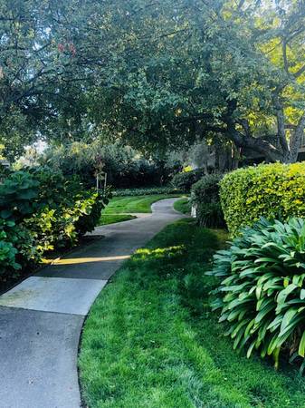$2,395 / 2br - 880ft2 - GORGEOUS TWO BEDROOM/TWO BATH WITH NEW CARPET 🌺 (concord / pleasant hill / martinez)63994248960002121