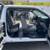 2020 FORD F150 SUPER CAB XL PICKUP 4D 6 1/2 FT 9 thumbnail