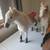 3 horses with tack shed 5 thumbnail