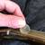 1970s Harmony Silvertone H1227 (Stella) 12-string guitar + NEW gig bag 11 thumbnail