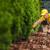 LANDSCAPE MAINTENANCE, LANDSCAPING and MULCH SERVICES 1 thumbnail