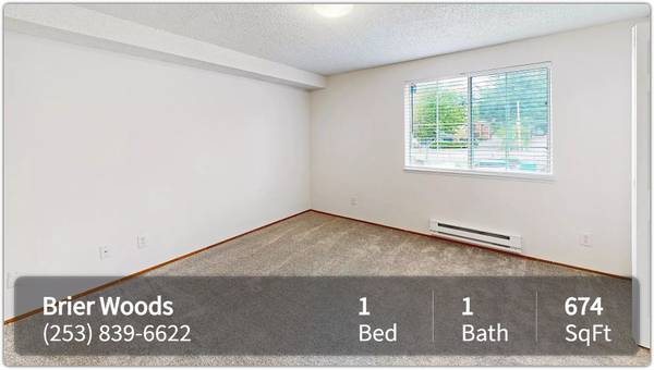 $1,800 / 1br - 674ft2 - Dive into style! 1 BR, 1 BA, 674 Sq Ft of space awaits! (Federal Way)63850639874947121
