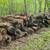Oak firewood logs 1 thumbnail