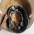 WW 1 METAL HELMET 4 thumbnail
