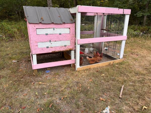 Chicken coop 1