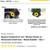 Buyers Wheel Chock 5 thumbnail