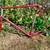 Vintage Trek frame lugged steel 24" 60cm new paint 9 thumbnail