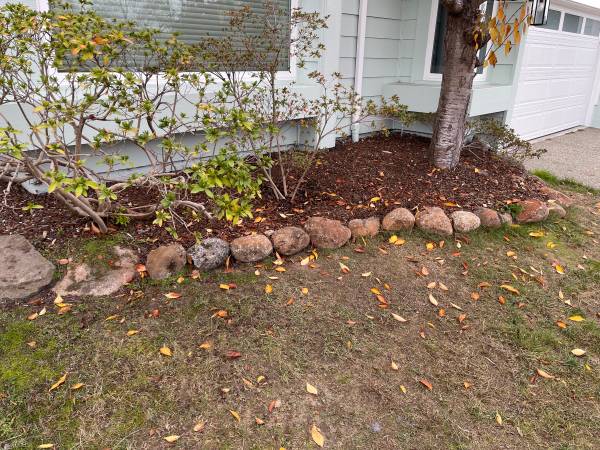 Landscapers dream - free architectural rocks 1