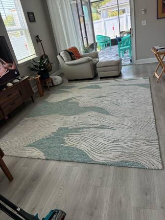 Area Rug 1