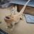 Bearded dragon 3 thumbnail