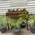 Planter Boxes 2 thumbnail