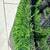Artificial grass artificial turf synthetic lawn 15x25 $530 firm 7 thumbnail