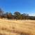 Pasture or orchard for lease - approximative 200 acres 3 thumbnail