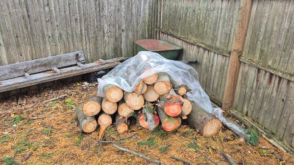 Free logs 1