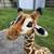 Melissa & Doug Plush Giraffe Stuffed Animal Toy 4.5 Feet Tall 2 thumbnail