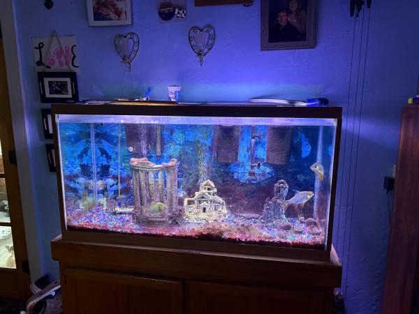 Acuario completo con peces (Wisconsin Dells)63293020489603120