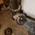 LICENSED PLUMBER HANDLES ALL PLUMBING – DRAINS, TOILETS, WATER HEATERS 17 thumbnail