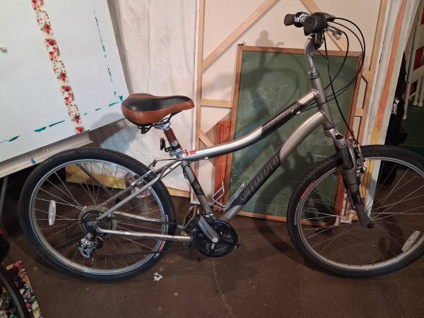 Specialized Exposition 1