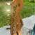 Fender Player Plus Stratocaster HSS (Upgraded) - Surf Pearl w/ Matchin 4 thumbnail