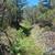 18.7 ac property borders public land in Elkhorn Mtns, year-round, elk 12 thumbnail