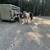 Paint Gelding 4 thumbnail