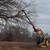 Tree trimming along fields/fenceline 6 thumbnail