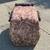Large dog carrier 3 thumbnail