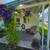 55+ Duplex for Sale 8 thumbnail