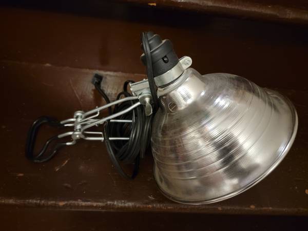 Heat lamp 1