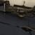 Strike Eagle Compound Bow 2 thumbnail