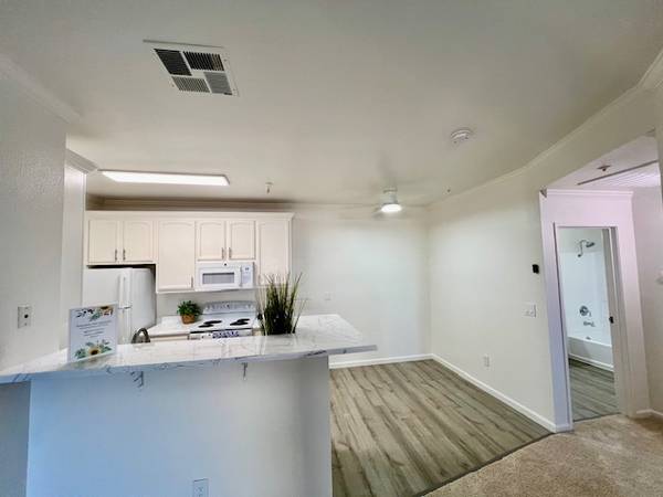 $2,395 / 1br - 726ft2 - Fresco y acogedor apartamento de 1 habitación en el 2º piso 🌸Nueva alfombra ❤️Vista de la propiedad (danville / san ramon)63880133755521124
