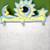 celestial moon star and sun wall decor with hooks and mirror 3 thumbnail