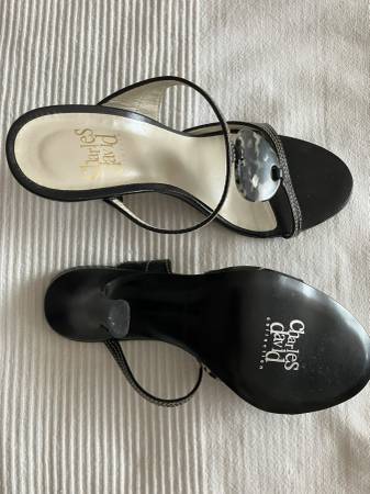 Charles David High Heel Sandals Size 6.5B 4" (Never Worn) - $10 (Harlem / Morningside)63471465656449122
