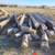 Reclaimed logs/boards 1 thumbnail